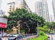 怡园大厦-环境绿化