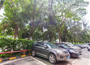 鹏都大厦-环境绿化