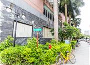 鹏都大厦-环境绿化