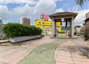 德兴城-环境绿化