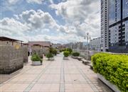 德兴城-环境绿化