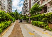 富霖花园-环境绿化