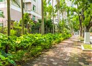 富霖花园-环境绿化