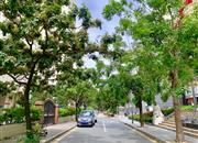 东华大厦-环境绿化