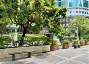 东华大厦-环境绿化