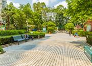 景秀年华-环境绿化