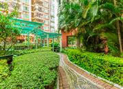 景秀年华-环境绿化