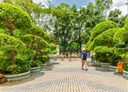 景秀年华-环境绿化