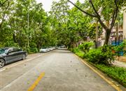 竹盛花园(三期)-环境绿化