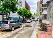 翠珠小区-环境绿化