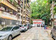 环卫小区-环境绿化