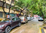 环卫小区-环境绿化