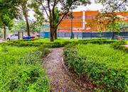 美思苑大厦-环境绿化