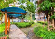 美思苑大厦-环境绿化