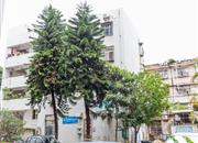 金田花园-环境绿化