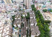 金田花园-俯瞰图