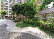 阳光明居-环境绿化