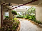 仙湖枫景家园-环境绿化