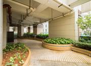 仙湖枫景家园-环境绿化