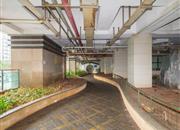 仙湖枫景家园-环境绿化