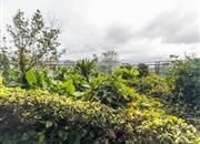 瀚海翠庭-环境绿化