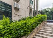 东部阳光-环境绿化