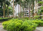 东部阳光-环境绿化