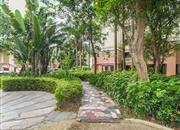 东部阳光-环境绿化