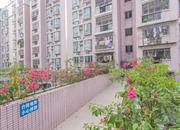 盈翠家园-环境绿化