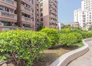 中兆花园-环境绿化