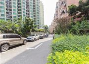 中兆花园-环境绿化