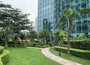 新天CBC-环境绿化