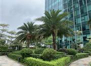 新天CBC-环境绿化