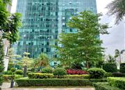 新天CBC-环境绿化