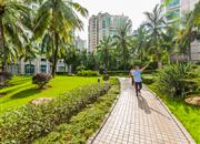 东海花园（一期）-环境绿化