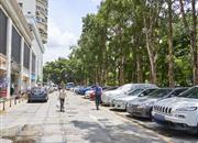 旭飞花园-环境绿化