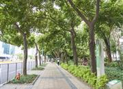 旭飞花园-环境绿化