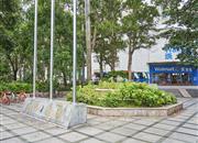 旭飞花园-环境绿化