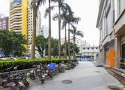 怡都大厦-环境绿化