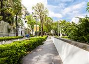 第五园（三期）-环境绿化