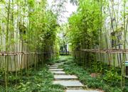 第五园（三期）-环境绿化