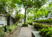 第五园（三期）-环境绿化