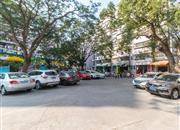 紫荆花园-环境绿化