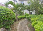 龙泉别墅-环境绿化