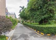 龙泉别墅-环境绿化