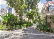 龙泉别墅-环境绿化