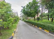 龙泉别墅-环境绿化