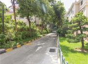 龙泉别墅-环境绿化