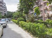 祥云苑-环境绿化