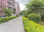 祥云苑-环境绿化